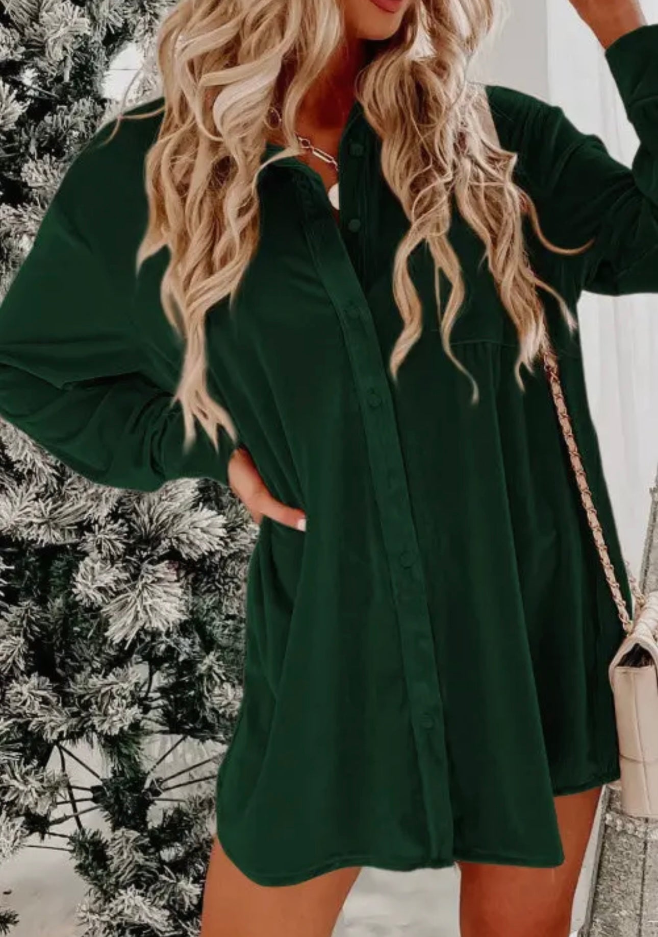 Velvet Button Front Shirt/Dress